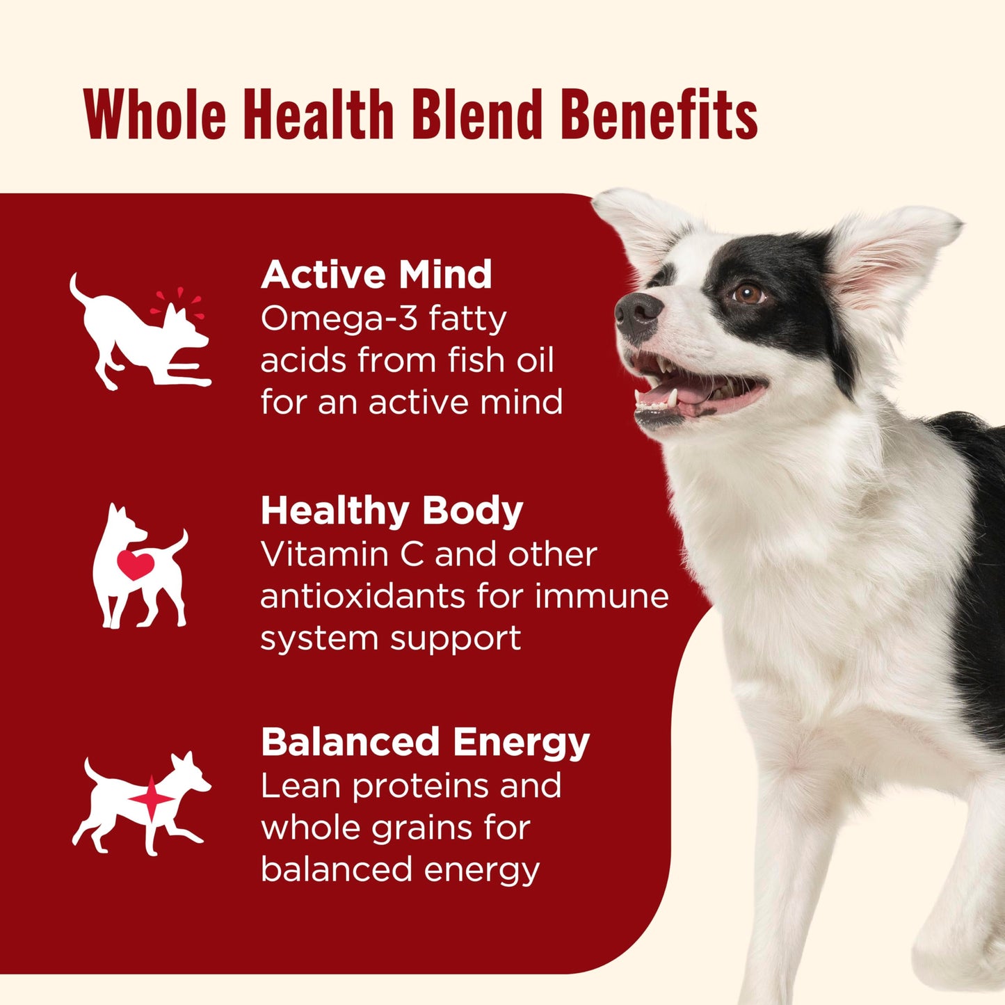 Nutrish Dry Dog Food, Real Beef, Pea & Brown Rice Recipe Whole Health Blend for Adult Dogs, 40 lb. Bag, Packaging May Vary (Rachael Ray)