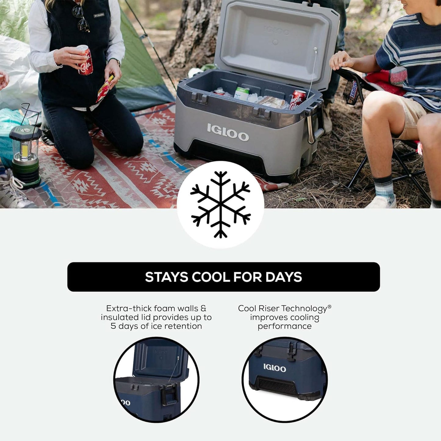 Igloo BMX Hard Coolers (25-72QT)