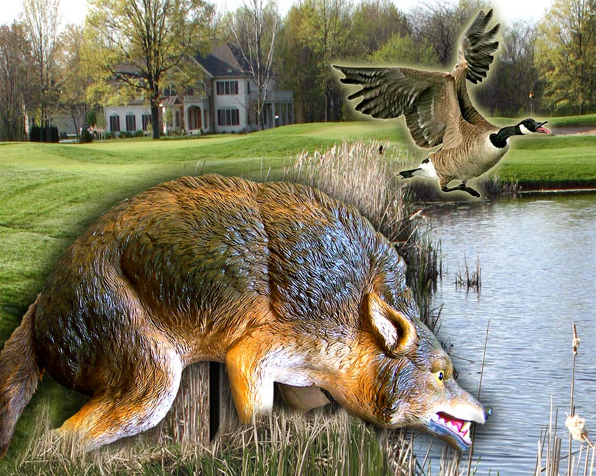 Bird-X 3D Coyote Decoy, Lifelike Predator Replica, Coyote Decoy with Moving Tail and Realistic Markings, Easy to Install, Covers up to 1 Acre of Land, 32"x8"x30"