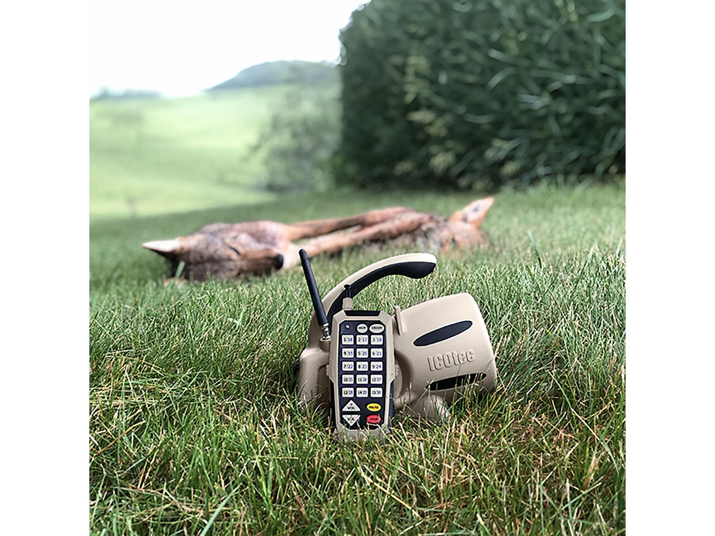 Icotec 350+ Electronic Predator Call - Includes Programmable SD Card - Coyote Hunting, Fox Hunting, Raccoon Hunting and More (ICO10351)