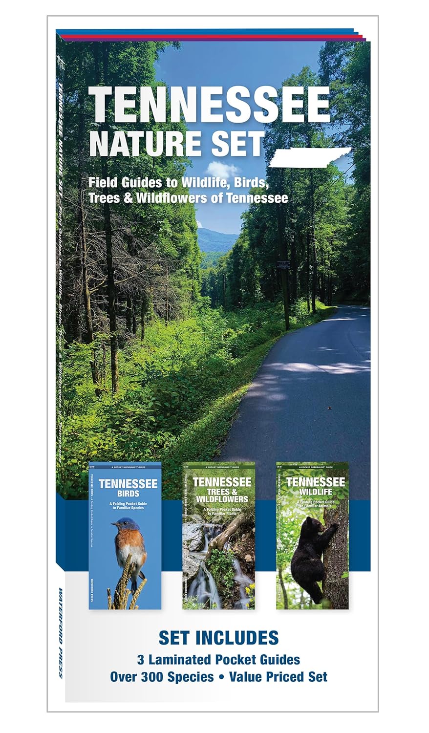 Tennessee Nature Set: Field Guides to Wildlife, Birds, Trees & Wildflowers of Tennessee (Nature Observation North America)
