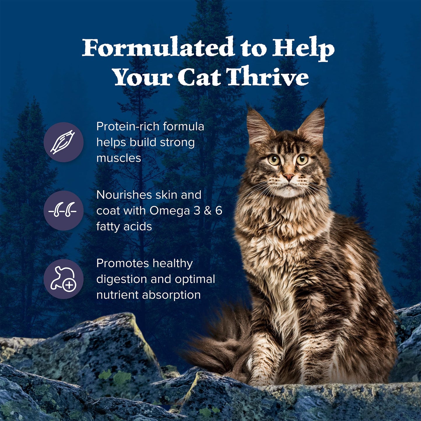 Blue Buffalo Wilderness Natural Adult Dry Cat Food, High-Protein and Grain-Free Diet, Supports Healthy Muscle Development and a Healthy Immune System, Chicken, 12-lb. Bag