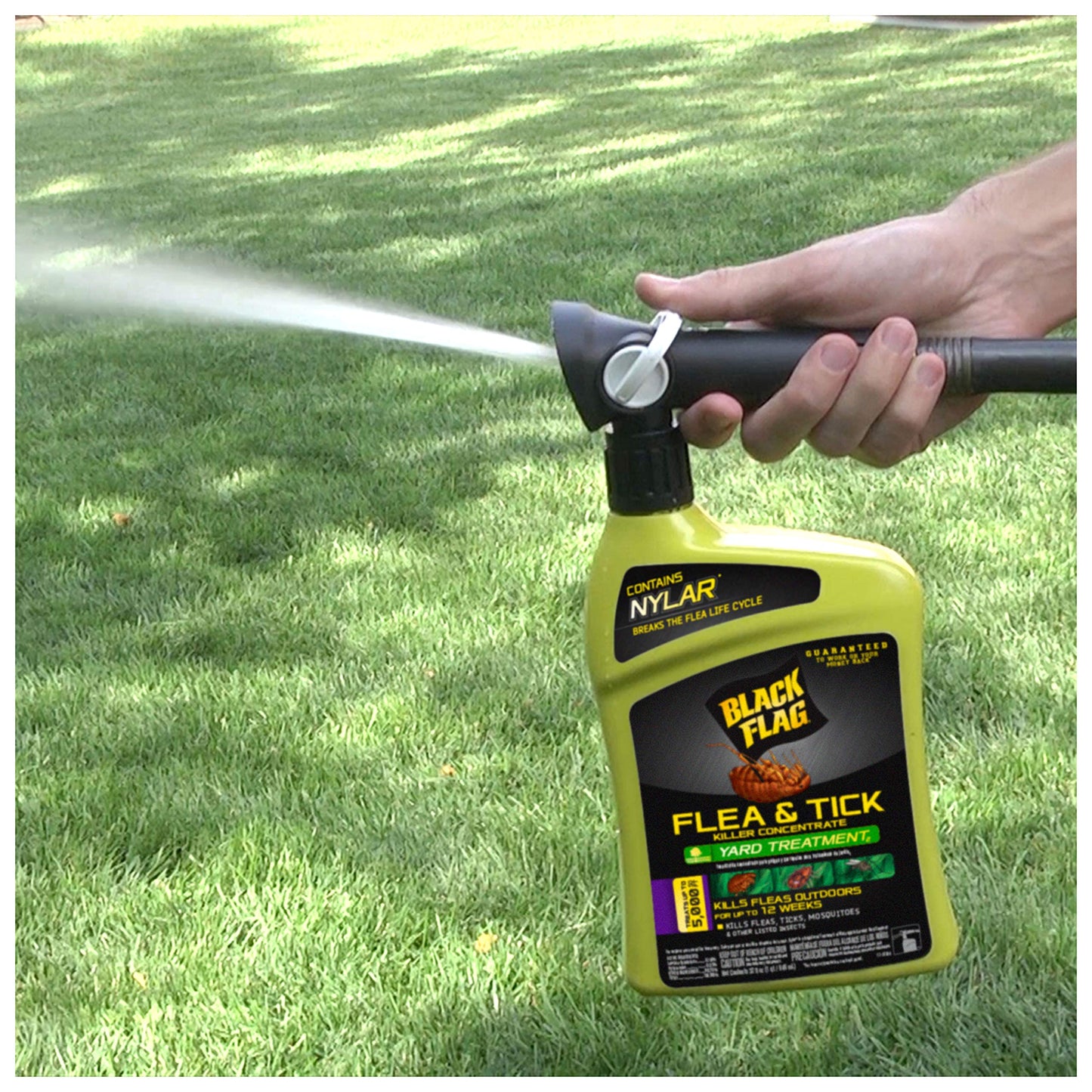 Black Flag Extreme Flea Killer Plus Growth Regulator RTU for Insects, 1-gal, 128 Oz