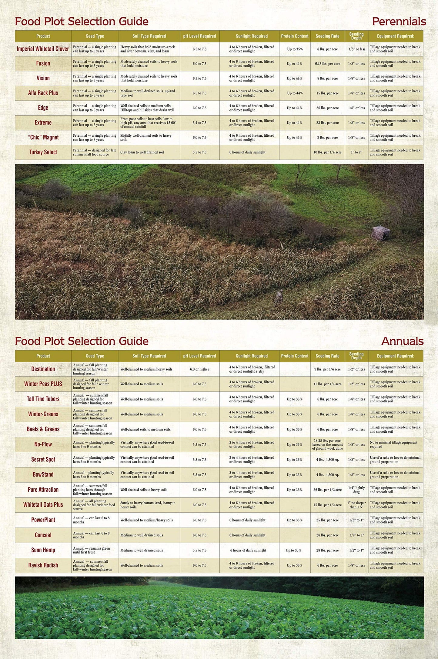 Whitetail Institute No-Plow Deer Food Plot Seed - Hardy, Fast-Growing Blend of Annuals for Areas Difficult to Access with Farming Equipment - Highly Nutritious and Attractive to Deer