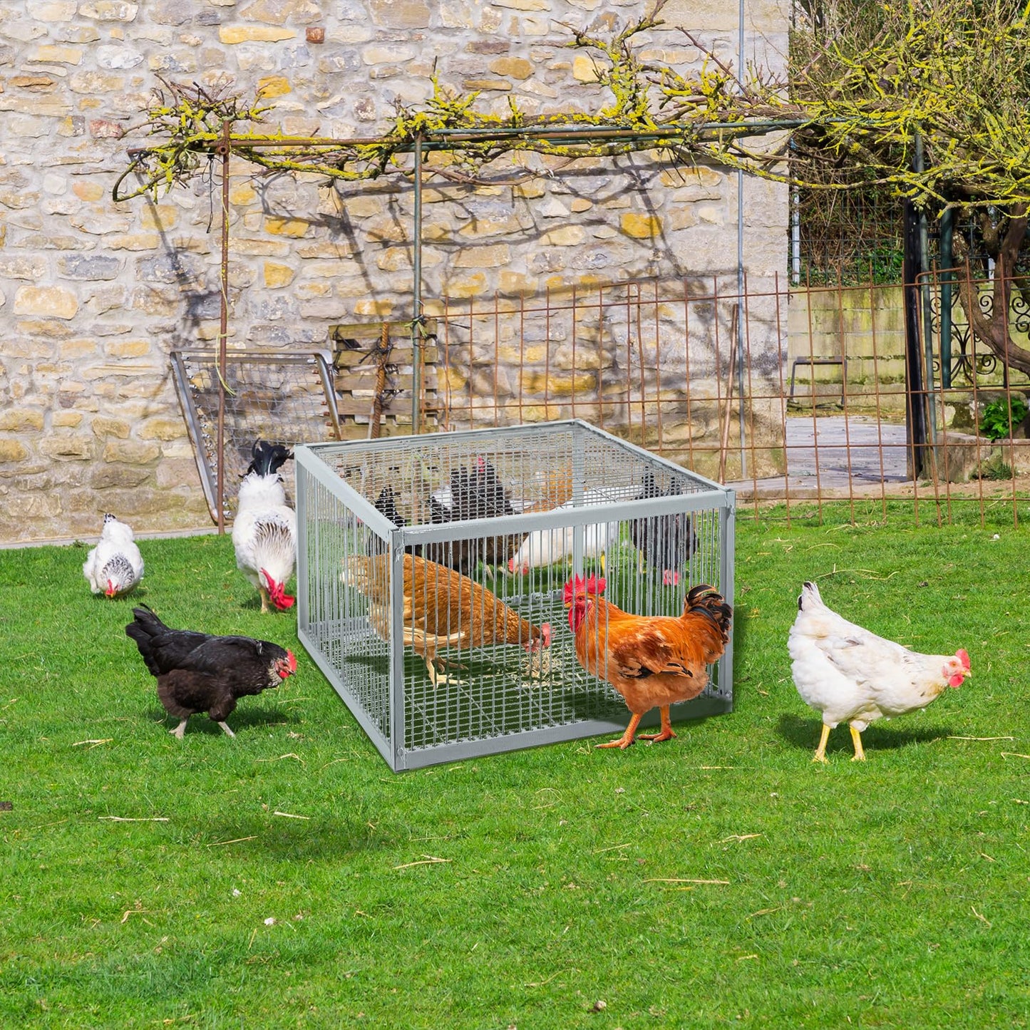 Pigeon Trap with Escape-Proof Design,Birds Trap with One-Way Entry,Chicken and Bird Trap Cage for Pigeon,Portable & Easy Assembly,Unharmful Made of High-Strength Iron with Anti-Rust Paint