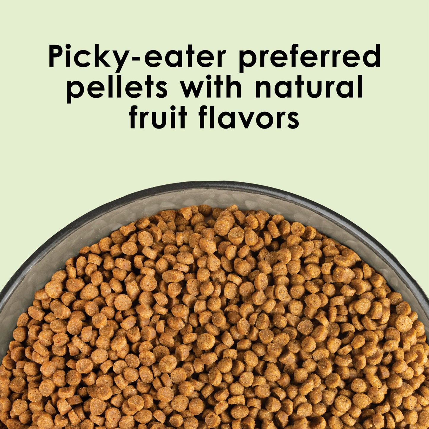 Kaytee Nutri Soft Pet Parrot & Conure Bird Food, 3 Pound