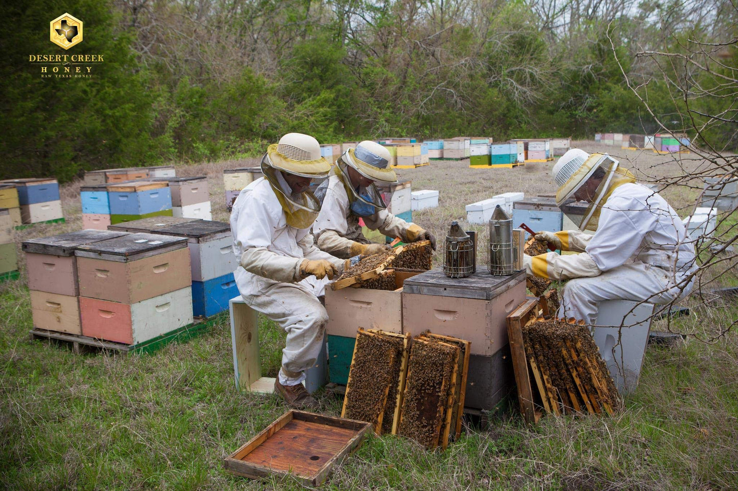 Raw, Unfiltered, Unpasteurized Texas Honey by Desert Creek Honey 5 Gallon (60 lbs) Bulk Bucket Non-GMO, Kosher