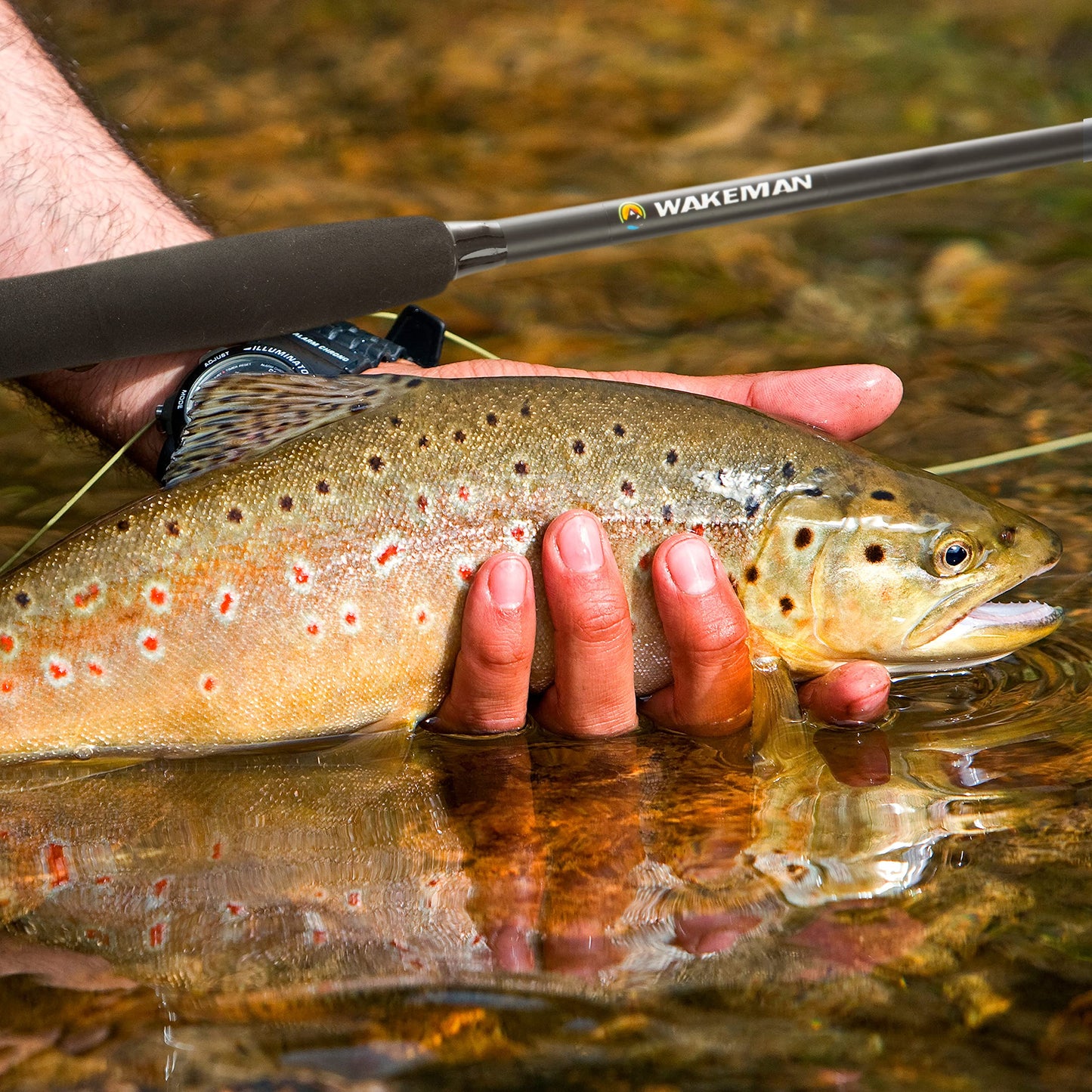 Fly Fishing Rod and Reel Combo - Including Carrying Case, Flies, and Fishing Line - Charter Series Gear and Accessories by Wakeman (Black)
