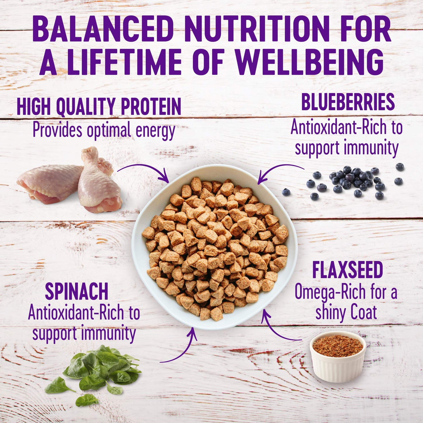 Wellness Complete Health Dry Dog Food, Wholesome Grains, Natural, Lamb & Barley Recipe, (30-Pound Bag)