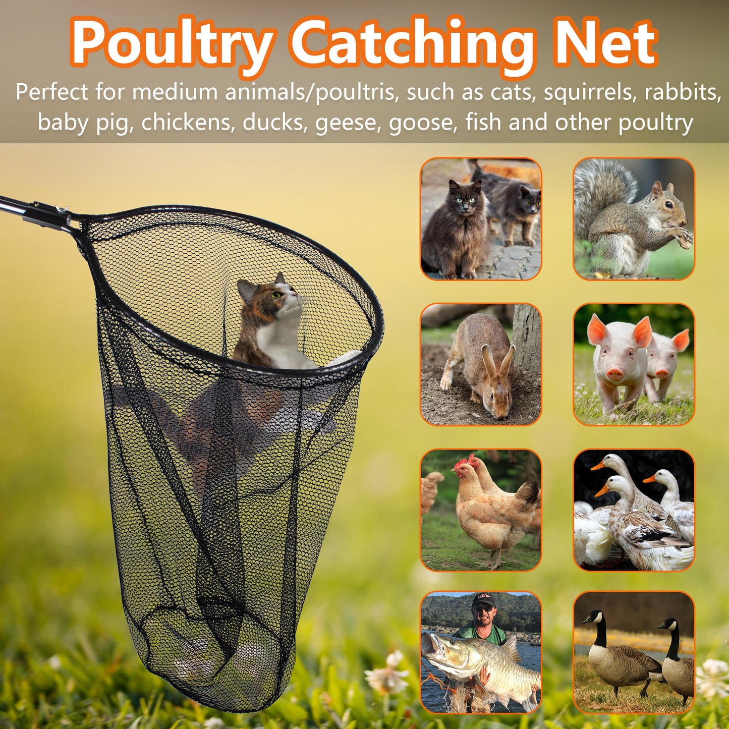 Catch Net Small Animal Control Net Poultry Catching Trap Tool for Cat, Chicken, Duck, Goose, Fish, Bird and Others (43~78" Telescoping Handle with 20.5" Net Opening)