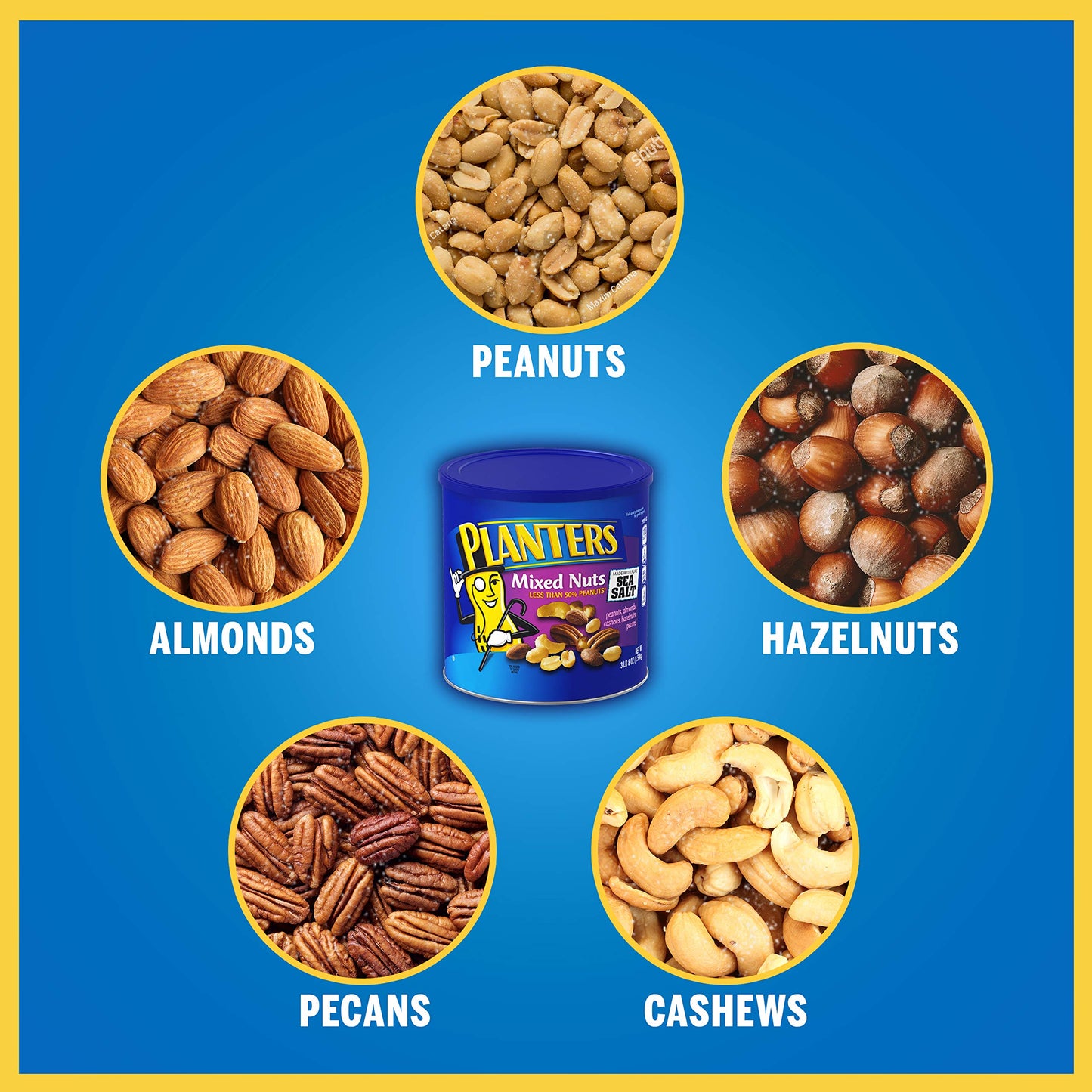 PLANTERS Deluxe Mixed Nuts, Cashews, Almonds, Pecans, Pistachios, Hazelnuts, Roasted with Sea Salt, Party Snacks, Plant-Based Protein Nut Mix, Snacks for Adults, After School Snack Mix, 27oz