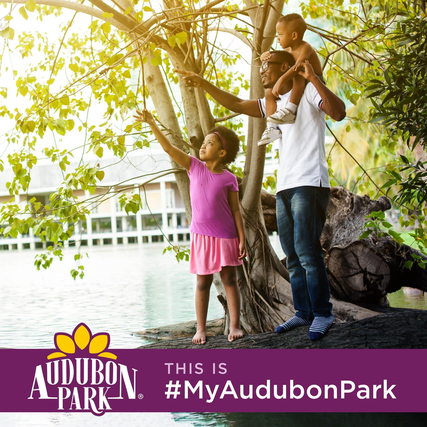 Audubon Park Nut & Fruit Wild Bird Seed – 15 lb. Premium Blend with Sunflower Seeds, Peanuts, Safflower & Dried Fruit – Bird Food for Outside Feeders