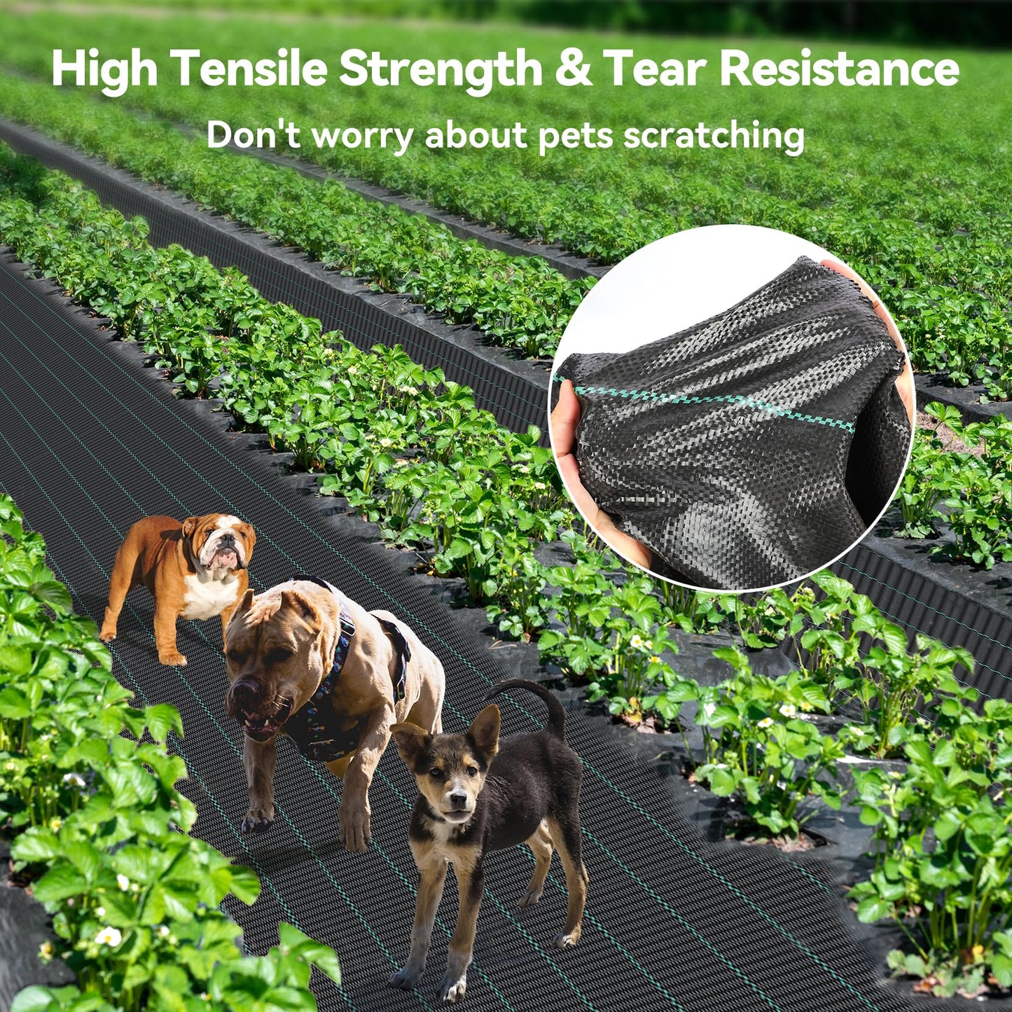 iropro 3ftx300ft Weed Barrier Landscape 3.2oz Fabric Heavy Duty, Woven Weed Control Cloth, Woven Geotextile Fabric for Underlayment, Gardening Ground, Commercial Driveway Weed Block Cover Mat