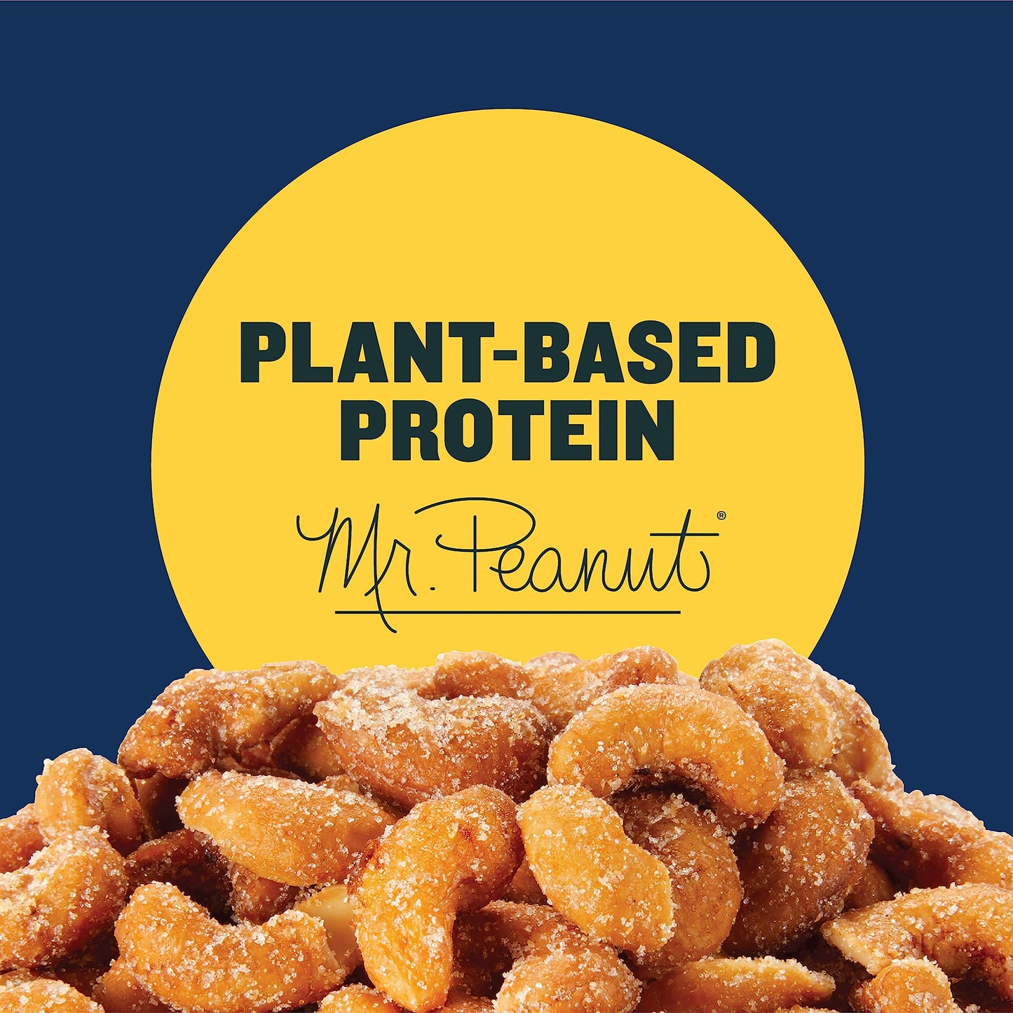PLANTERS Deluxe Lightly Salted Cashews, Party Snacks, Plant-Based Protein, Quick Snack for Adults, After School Snack, Flavored with Sea Salt, Kosher, 1lb 2.25oz