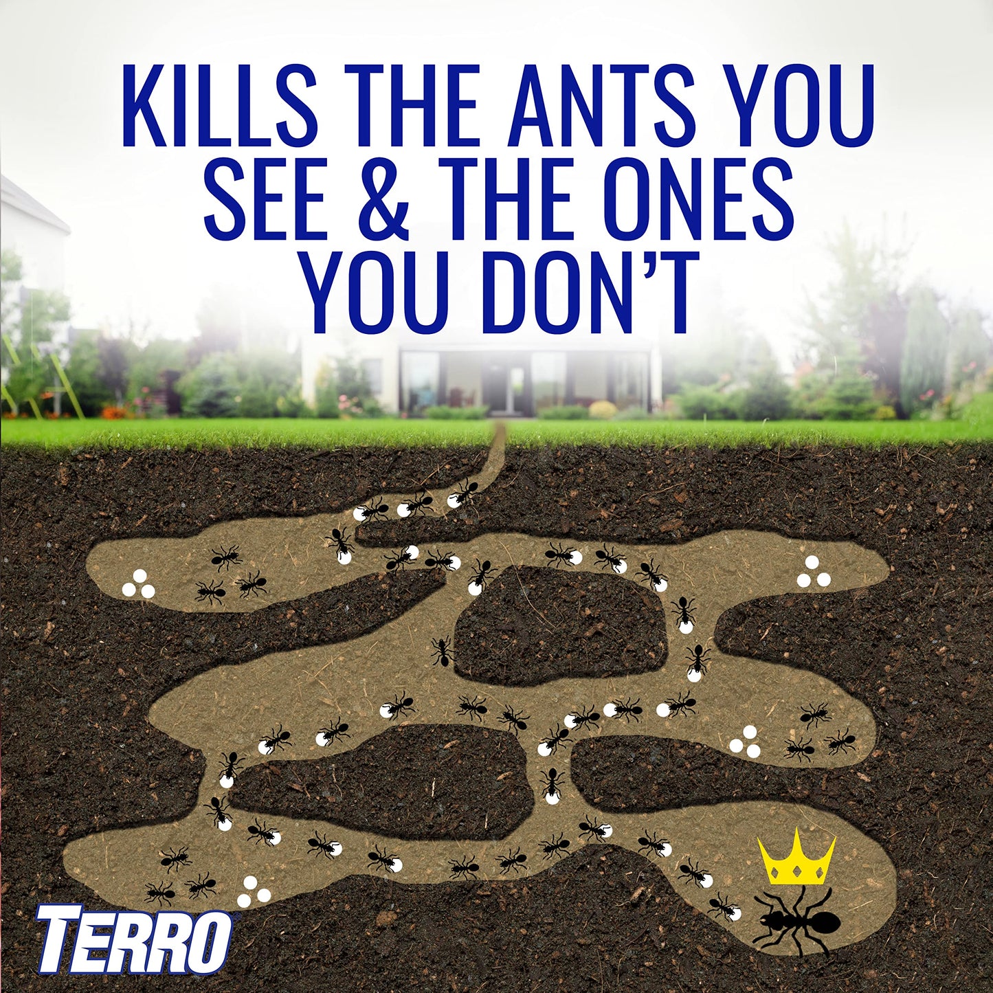 TERRO T1813B Outdoor Ready-to-Use Liquid Ant Bait Stake Killer Trap - Kills Common Household Ants 12 Stakes