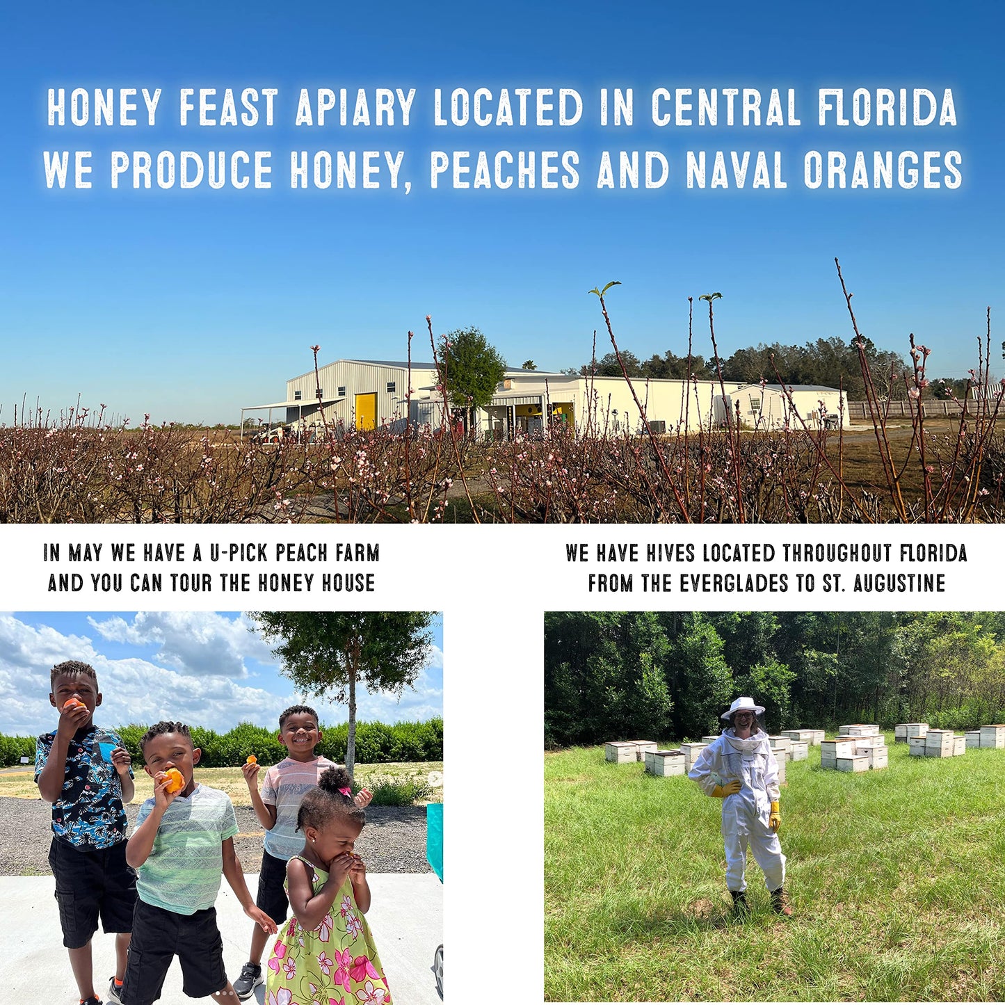 HONEY FEAST Wildflower Honey - 6 Pounds (1/2 Gallon) Bulk Honey, All Natural, Unfiltered, Unheated Honey, Perfect for Sweetening & Baking